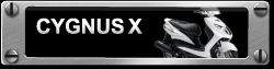 CYGUNUS X